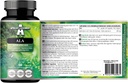 APOLLO'S HEGEMONY ALA (Alpha Lipoic Acid) 600 מ"ג - 60 קפסולות טבעוניות - Optimizescose Management - תמיכה בבריאות מיוכוניאלית - חודשיים אספקה