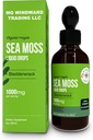 ים אורגני Mossss נוזל טיפות | 30,000 MG | Sea Moss with Bladderwrack, Elderberry | 4X Stronger Organic Sea Mosss Than Pills and כמוסות לחיים בריאים לחלוטין! 1 בקבוק