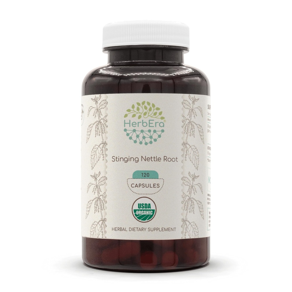 HerbEra Sting Nettle Root USDA אורגני 120 קפסולות | תוספי צמחי טבעי | קפסולות צמחוניות מוסמך וצמחוניות אורגני Sting Nettle (Urtica Dioica) Dried Root (120 קפסולות)
