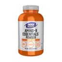 Now Sports Nutrition, Amino-9 EssentialsTM אבקת, הגדלת סינתזת חלבון, Amino Acids, 330-Grams