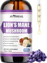 Lions Mane Liquid - Brain Support, Energy, Memory & Focus - Sugar & Alcohol-Free Lions Mane תוסף - 4 Fl OZ, 4 חודשים אספקה, Grape Flavor