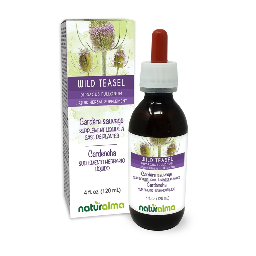 Naturalma Wild Teasel או Fuller's Teasel (Dipsacus fullonum או D. sylvestris) Root אלכוהול-Free Tincture - 4 fl oz נוזל לחלץ טיפות - Herbal Supplement - טבעוני
