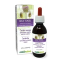 Naturalma Wild Teasel או Fuller's Teasel (Dipsacus fullonum או D. sylvestris) Root אלכוהול-Free Tincture - 4 fl oz נוזל לחלץ טיפות - Herbal Supplement - טבעוני