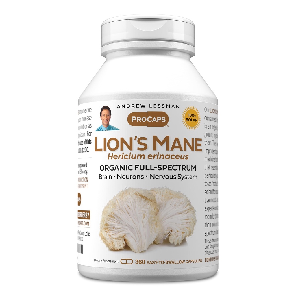 ANDREW LESSMAN Lion's Mane 360 קפסולות - אורגני Full Spectrum Lion's Mane Mushroom - תומך במוח בריא, קוגניטיבי ותפקוד מערכת העצבים - לא תוספות.