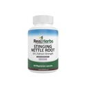 Real Herbs Sting Nettle Root לחלץ 7500 מ"ג (750 מ"ג של 10:1 לחלץ) - Vegetarian Friendly, non-GMO, Gluten-Free - תומך Prostate & Urinary Health - 100 קפסולות