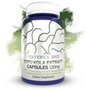 Nootropics Depot Gotu Kola לחלץ קפסולות | 120 מ"ג | 90 Count | Acid Resistant | Centella Asiatica | 35-45% Triterpenes | תמיכה במתחים בריאים | מקדם שיפור זיכרון