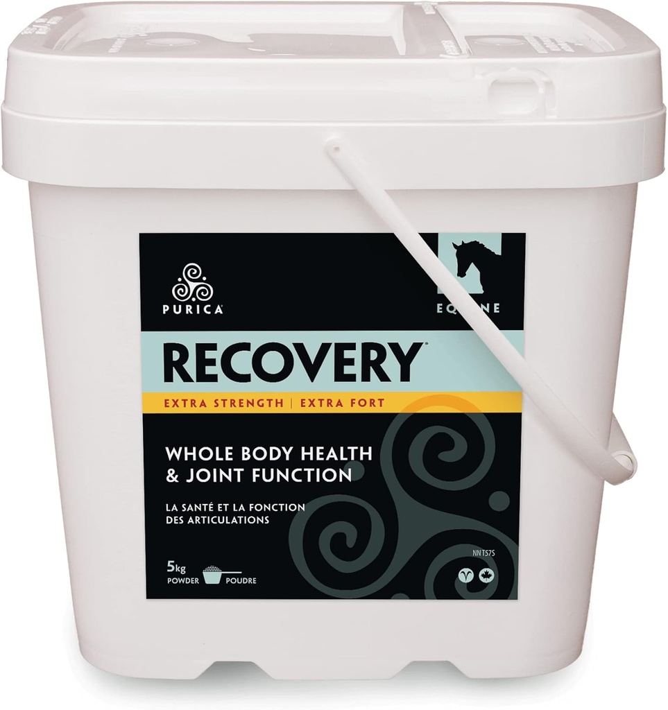 כוח חלופי PURICA Recovery - תוסף משותף Equine - תמיכה מקיפה עבור סוסים - תוספת סוס אידיאלי עבור סוסים מבוגרים, אבקת MSM