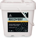 כוח חלופי PURICA Recovery - תוסף משותף Equine - תמיכה מקיפה עבור סוסים - תוספת סוס אידיאלי עבור סוסים מבוגרים, אבקת MSM