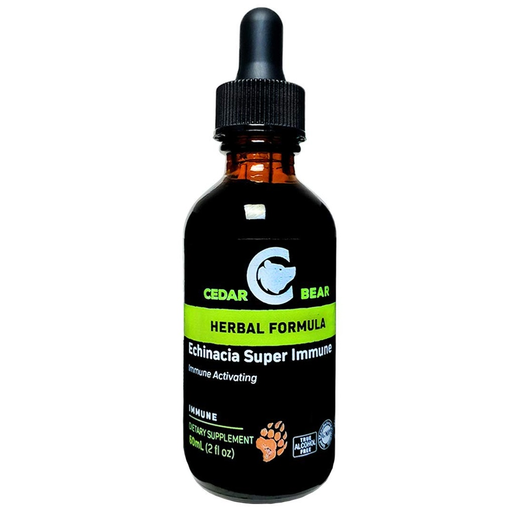 Cedar Bear Echinacea Super Immune בלגן תוסף צמחי נוזלי אשר משפר את מערכת החיסון שלך כדי לעזור לשמור על פעילות תאי דם לבנים פונקציות אחרות Immune 2 FL Oz