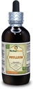 Psyllium (Plantago Ovata) Tincture, אורגני Dried Husk נוזל לחלץ (שםBrand: HerbalTerra, המיוצר גאה בארה"ב) 4 fl.oz (120 מ"ל)