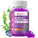 Sea Mosss Gummies & Elderberry - ויטמין C + Zinc - חיזוק Immune & Thyroid תמיכה Boostermy Bears לילדים ומבוגרים - 60 חניכיים טבעיות