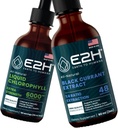E2H: נוזל Chlorophyll ו Natural Black Currant לחלץ | טבעוני, non-GMO - 2 Fl Oz כל אחד (4 Fl Oz Total)