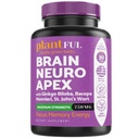 Nootropic Brain תוסף עבור Focus, אנרגיה, זיכרון וקלילות Booster | ויטמינים מוח מהיר עבור מבוגרים - nootropics Pills with גינקו בילובה, סנט ג'ונס Wort, Bacopa Monnieri
