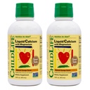 ChildLife Essentials Liquid Calcium תוסף לילדים - Baby Calcium with Magnesium, Zinc ווויטמין D3 - Orange Flavor, 16 oz (2 Pack)