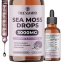 TrueSeaMos Irish Sea Mos Drops - 5X Stronger Than Sea Moss Gel - 92+ Essentials מינרלים - עם Black Elderberry, Burdock Root & Black Cumin - 2 Fl Oz (60 מ"ל) - Elderberry Flavor