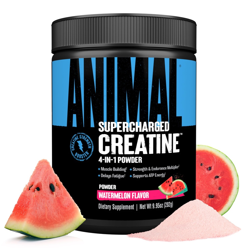 Animal Supercharged Creatine אבקה - קראטין Monohydrate משופר עם Betaine Anhydrous, PurpleForce & Senactiv, כוח, התחדשות שרירים לגברים ונשים - Watermelon, 300ggg
