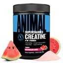 Animal Supercharged Creatine אבקה - קראטין Monohydrate משופר עם Betaine Anhydrous, PurpleForce & Senactiv, כוח, התחדשות שרירים לגברים ונשים - Watermelon, 300ggg