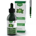 Chlorophyll נוזל טיפות - 100% אנרגיה טבעית Booster ו- Immune Support - פנימי Deodorant ו Detox - Altitude Sickness Relief - קיצור מהיר, טבעוני ו- non-GMO - 120 משרתים (Pack of 1)