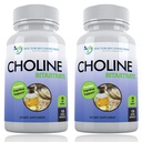 Premium Choline - 500 מ"ג - 120 קפסולות Veggie - תמיכה בבריאות קוגניטיבית, זיכרון ועוד - 2 Pack