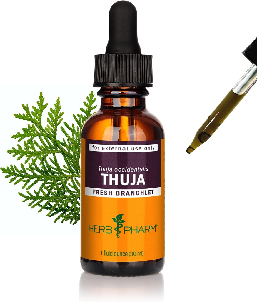 Herb Pharm Thuja Branchlet נוזל לחלץ - 1 Ounce (DTHUJA01)