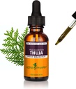 Herb Pharm Thuja Branchlet נוזל לחלץ - 1 Ounce (DTHUJA01)