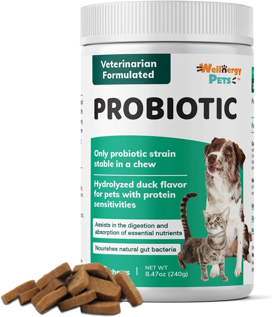 Wellnergy Daily Probiotic & Prebiotics Soft Chew for Dogs & Cats - תמיכה תזונתית עבור Dihilhea, Constipation, Upset Stomach, Indigestion & Gas - Helps Digest, Allergy & Immune Health 160ct