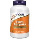תוספי מזון עכשיו, Plant Enzymes with Lactase, Protease, Papain ו Bromelain, 240 קפסולות Veg