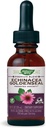 Nature's Way Premium Formula Echinacea-Goldenseal, 250 מ"ג למנה, 99.9% אלכוהול חינם, 1.01 Oz.