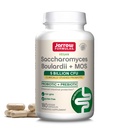 Jarrow Formulas Saccharomyces Boulardii + MOS - 5 מיליארד Organisms Per Serve - 180 נדחה לשחרר Veggie Caps - Probiotic + Prebiotic - Intestinal Tract תמיכה - עד 180 משרתים