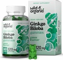 Wild & אורגני Gingko Biloba 120 מ"ג חניכיים - תמיכה מוחית ותוסף Focus w /Ginkgo Biloba Extract - טבעוני, non-GMO - 60 Pectin מבוסס Herbal Chewables