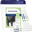 SmartEquine SmartLytes Horse Electrolyte אבקת תוסף ו SmartLytes להדביק את סוס אלקטרוליטטה פסטה 6 צינורות Bundle, עודד הידרה, מחלישים אלקטרוליטים, לא הוסיף סוכר