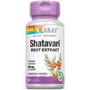 SOLAרי הבטיחה מיצוי שורש תפוחי אדמה, Veg Cap (Btl-Plastic) 500 מ"ג | 60ct
