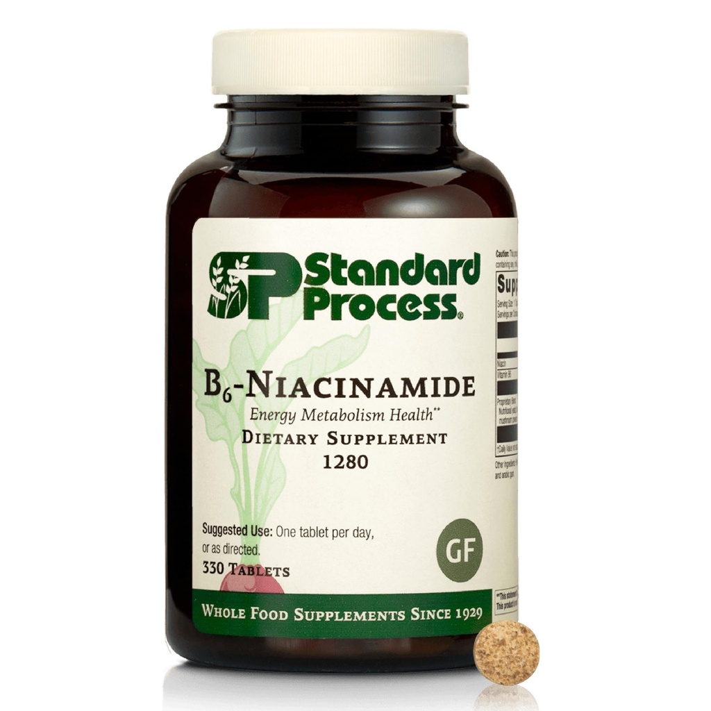 תהליך סטנדרטי B6-Niacinamide - תמיכה באנרגיה Metabolism & Heart Health - Aids Digestive & Blood Circulatory Systems - Gluten-Free, non-Dairy & Non-Soy - 90 טבליות (90 משרתים)