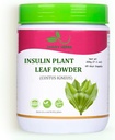 אבקת צמחים JaGY Insulin Leaf (Costus Igneus) 200g(7.1 oz) Natural Insulin צמחי אבקה (65 יום אספקה)