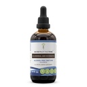סודות של השבט Goldenseal ו Echinacea אלכוהול חינם לחלץ, Herbs (Echinacea Root (Echinacea Purpurea), שורש מוזהב (Hydrastis Canadensis) תוסף Tincture (4 FL OZ)