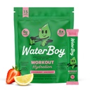 Waterboy Workout hydrotion | 2,960mg Sugar Free Electrolyte אבקת Packets | L-Glutamine + ויטמינים | No Sugar, All Natural, Gluten Free | 15 משקאות Stickes (Strawberry Lemonade)