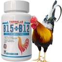 חוות דעת B12 B15 עבור Rosters B15 B12 para Gallos 100 טבליות