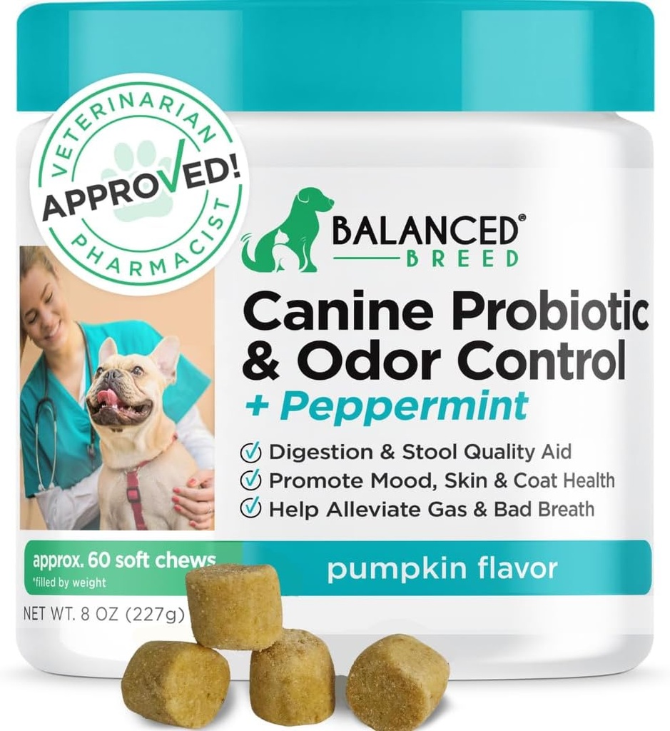כלב מאוזן Probiotics Digestive Health Enzymes Made בארה"ב Vet-Pharmacist Approved Fortiflora Probiotics Anti Yeast תוספי Constipation כלב Yeast Itchy Skin