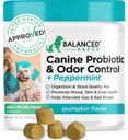 כלב מאוזן Probiotics Digestive Health Enzymes Made בארה"ב Vet-Pharmacist Approved Fortiflora Probiotics Anti Yeast תוספי Constipation כלב Yeast Itchy Skin