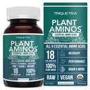 Plant Aminos אורגני Essential Amino Acid תוסף (EAAs) & BCAA - 100% צמח מבוסס Raw, טבעוני - All 9 Essential Amino Acids עם 18 Total Amino Acids (360 טבליות)