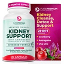 PurePremium Kidney תומך תוסף - Kidney ניקוי של Detox & תיקון עם קריין לחלץ ו Astragalus - 21-in-1 Complex תומך במגם רגיל, Urinary Tract & Kidneys בריאות - 120 יום אספקה