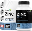 חידוש Actives Zinc תוספי 50MG לשרת - חיוני לבריאות החיסון, עצמות חזקות וקידום שיער בריא, ריחות & Glowing Skin for Daily Use - Made בקנדה - 250 טבליות