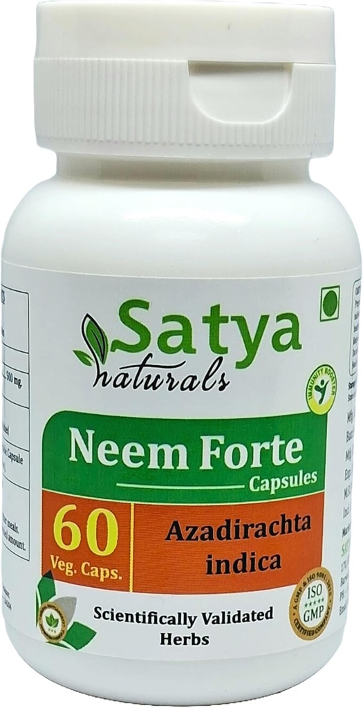 Neem Forte כמוסות 500 מ"ג. 60 Veg. קפסולה | Neem (Azadirachta Indica) לחלץ קפסולות לגברים ונשים | Ayurvedic Herbal / Remedies (1 בקבוק של 60 קפסולות)