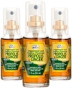 BeeLife Propolis - Soothing Honey & ג'ינג'ר פרפוליס Spray- Natural Immune Support & Bee Propolis Extract-Antioxidants, Rich in Flavonoids & Artepillin, No Sugar, Gluten-Free 3Pack, 90 מ"ל