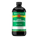 ברנרד ג'נסן 100% טהור של Chlorophyll Flavor נוזל תוספת; מקדם אלקל Ph | עוזר לנקות דם | 16 Fluid Ounce (474 מ"ל)