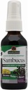 תגית: Sambucus Spray
