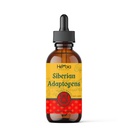 ההסתגלות הסיבירית התבל עם Maral, Spikenard, Eleuthero, Red גינזנג, Rhodiola, Schisandra, Licorice, Peony, & More - Boosts Energy, Enhances Focus, מפחית מתח, 2 Fluid oz (60 מ"ל)
