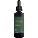 Global Healing Center - Organic Ashwagandha תוספי Drops - KSM-66 Ashwagandha תוספת כוח עבור גברים ונשים, מסייע לקדם הקלה ממתח, תמיכה Mood, אורגני (2 Fl Oz)
