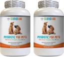 אנזימים של כלבים פרוביוטיים - PET PROBIOTIC - DOGS ו CATS - DIGEST BOOST - GET RID OF BAD BREATH ו- Stop DIARRHEA - lactobacillus salivarius Probiotics - 2 בקבוקים (120 טיפולים)