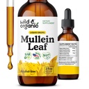 Wild & Organic Mullein טיפות עבור Lungs - Lung Detox ונקיטה - נוזל מולליין Leaf Tincture עם Echinacea & Licorice Root - טבעוני, סוכר ואלכוהול חינם תוספת - 2 fl oz oz oz
